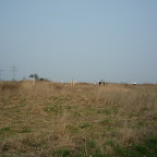 P1020163.JPG
