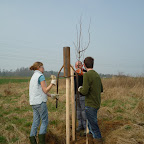 P1020165.JPG