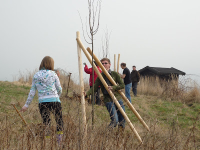 P1020153.JPG