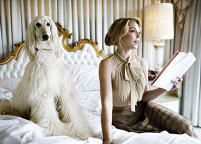 Katherine Heigl - Harpers Bazaar