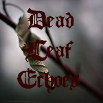 DEAD LEAFE ECHOES