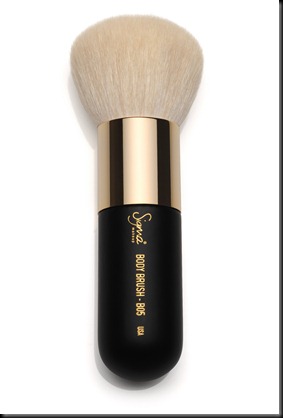 Body Brush 1 Body Brush 1