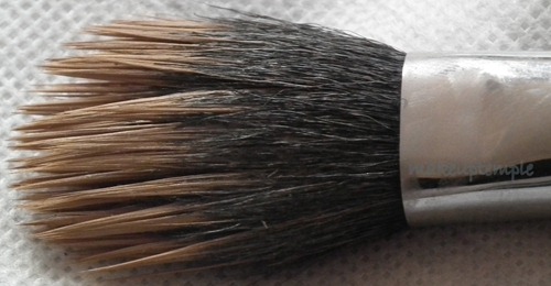 sigmabrush4 sigmabrush4