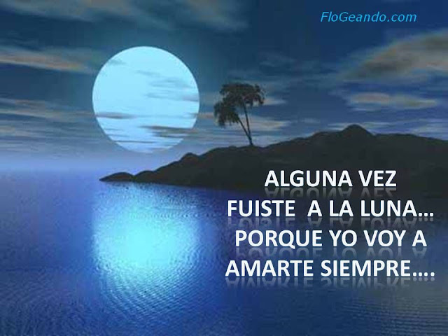 Frases Lindas!!