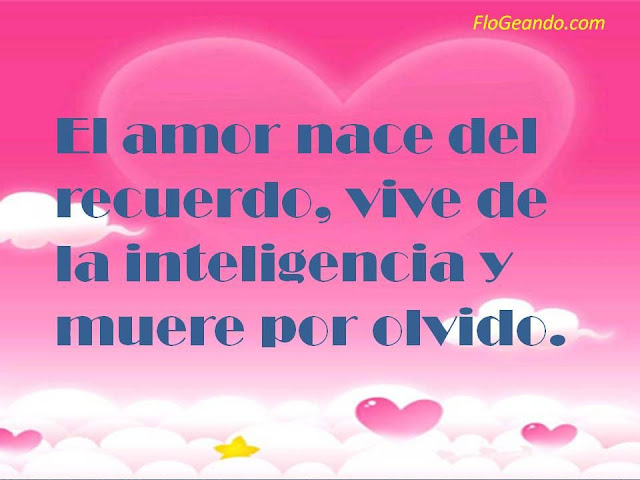 Imágenes con frases