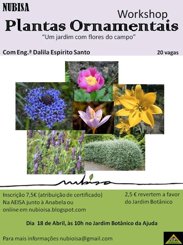 [Cartaz W.P.Ornamentais[7].jpg]