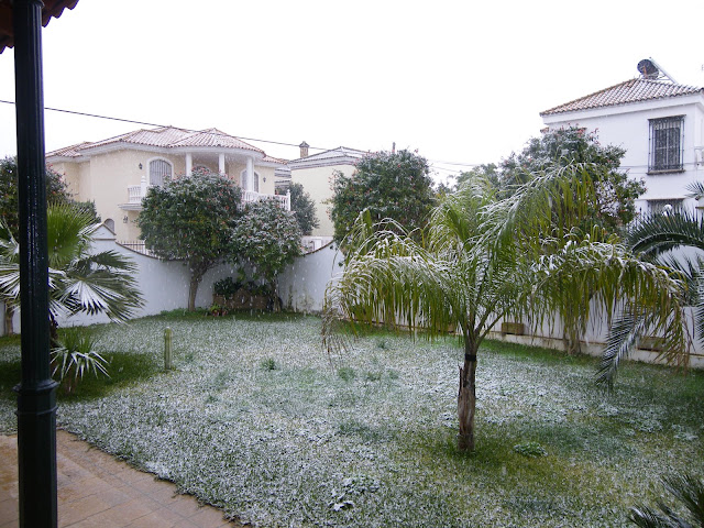 NIEVA%20EN%20OLIVARES%20068.JPG