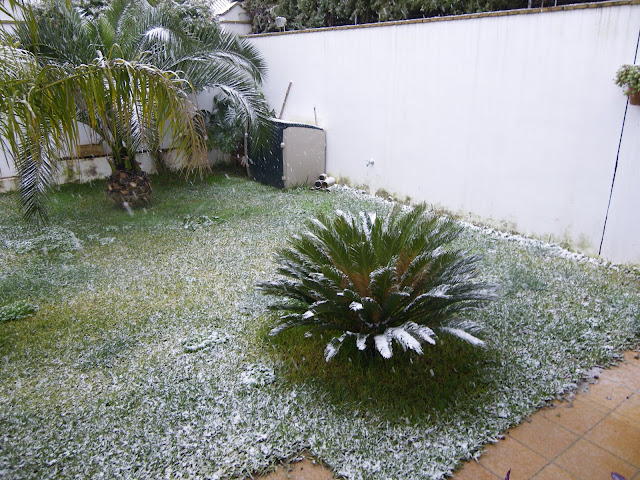 NIEVA%20EN%20OLIVARES%20070.JPG