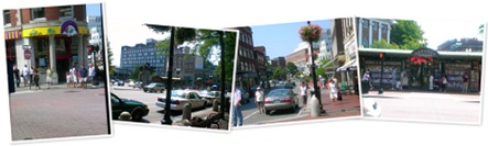 View Harvard Square '09