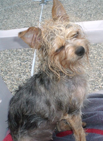 [8.19.09 011[3].jpg]