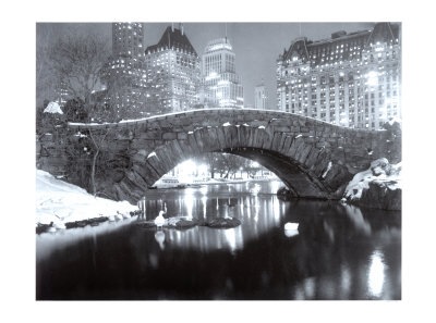[central park winter[2].jpg]