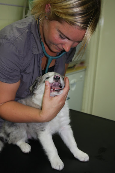 De check up