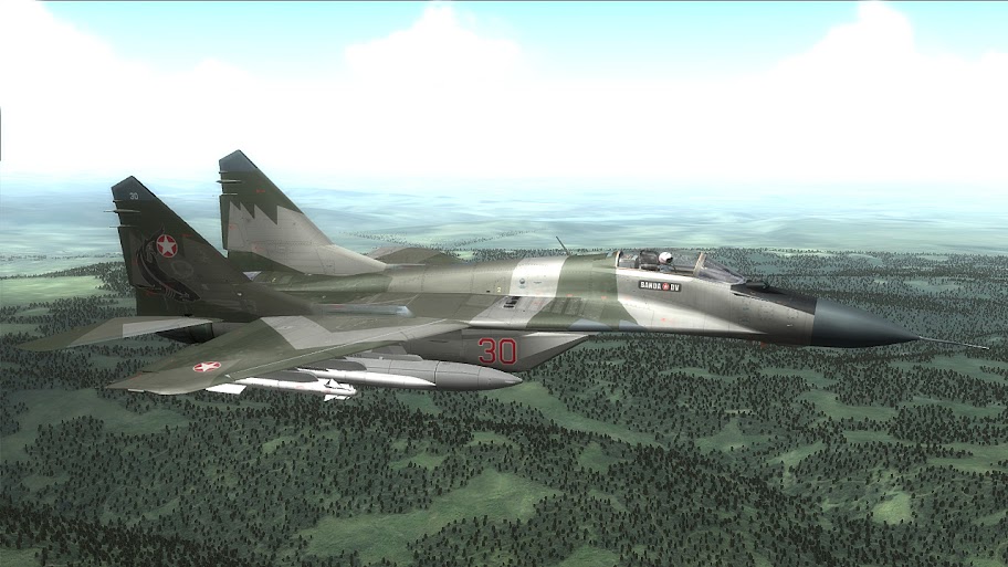 MiG-29C_Skin_005.jpg
