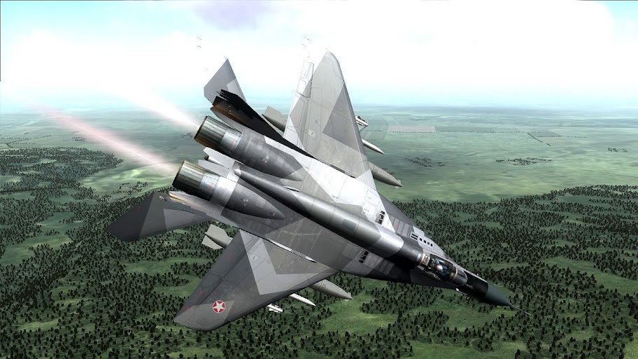 MiG-29C_Skin_002.jpg