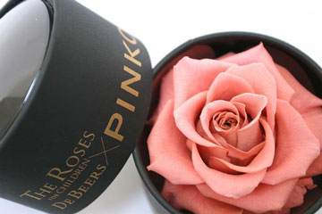PINKO LOVE（ピンコ ラブ）