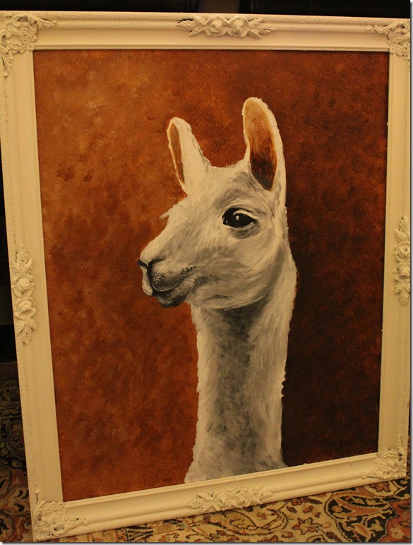 llama