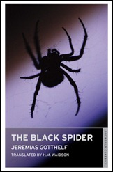Black Spider Black Spider