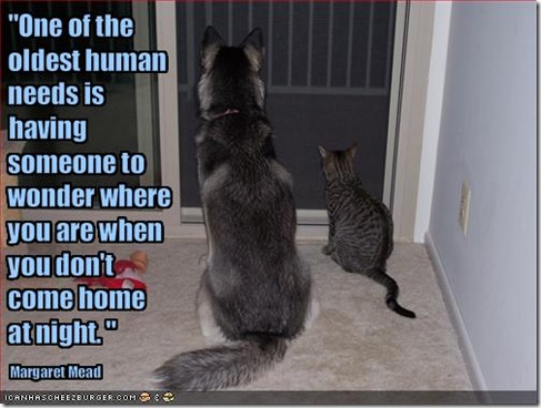 funny-dog-pictures-cat-and-dog-wait-for-you-to-come-home