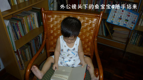 外公镜头下的鱼宝宝