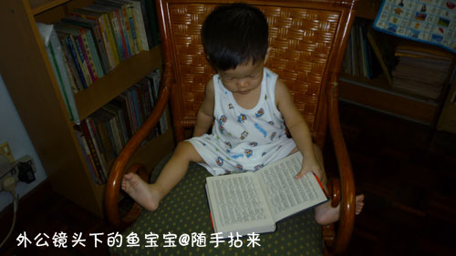 外公镜头下的鱼宝宝