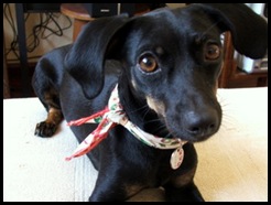 DSCF4361