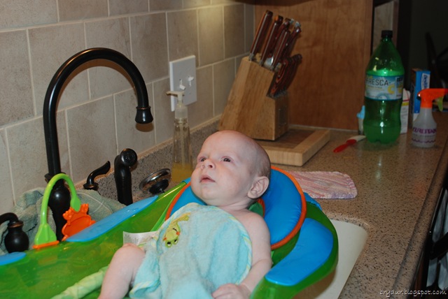 [DSC_0081[3].jpg]