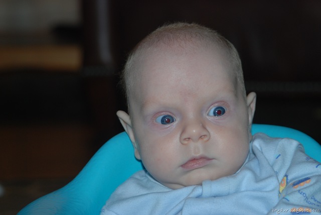 [DSC_0140[3].jpg]