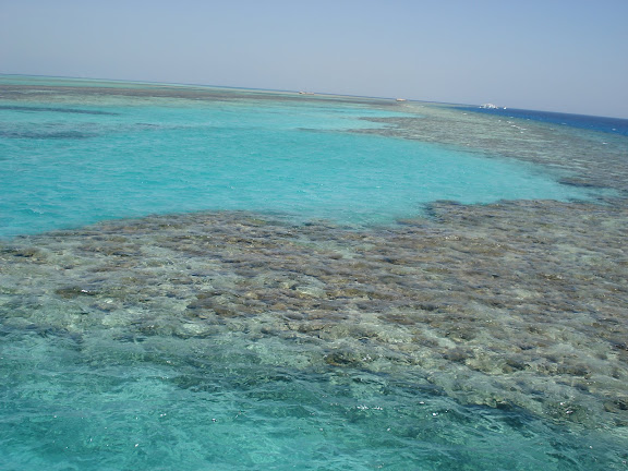 Riff Fanadir in Hughada