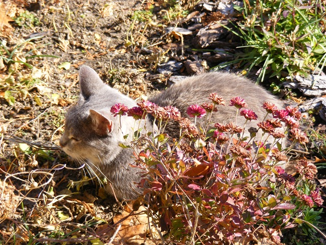 [2008_110900192.jpg]