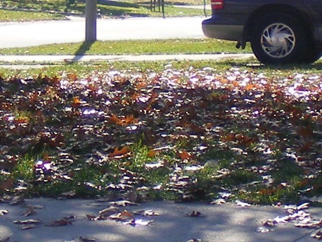 [2008_110900032.jpg]
