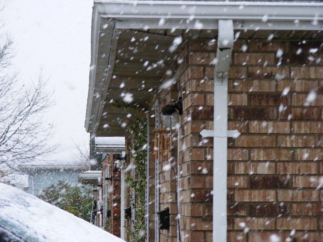 [2008_11150061[2].jpg]