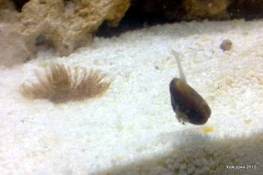 12012010164.jpg