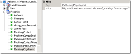 SPM 2007 Publishin Page Properties