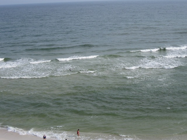 [gulf shores may 2010 013[5].jpg]