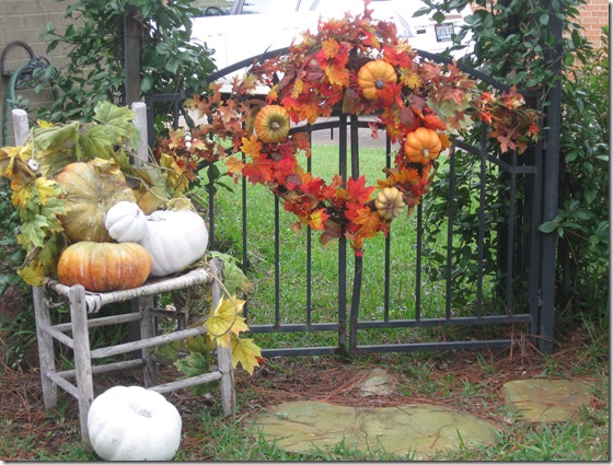 halloween outside 2009 008