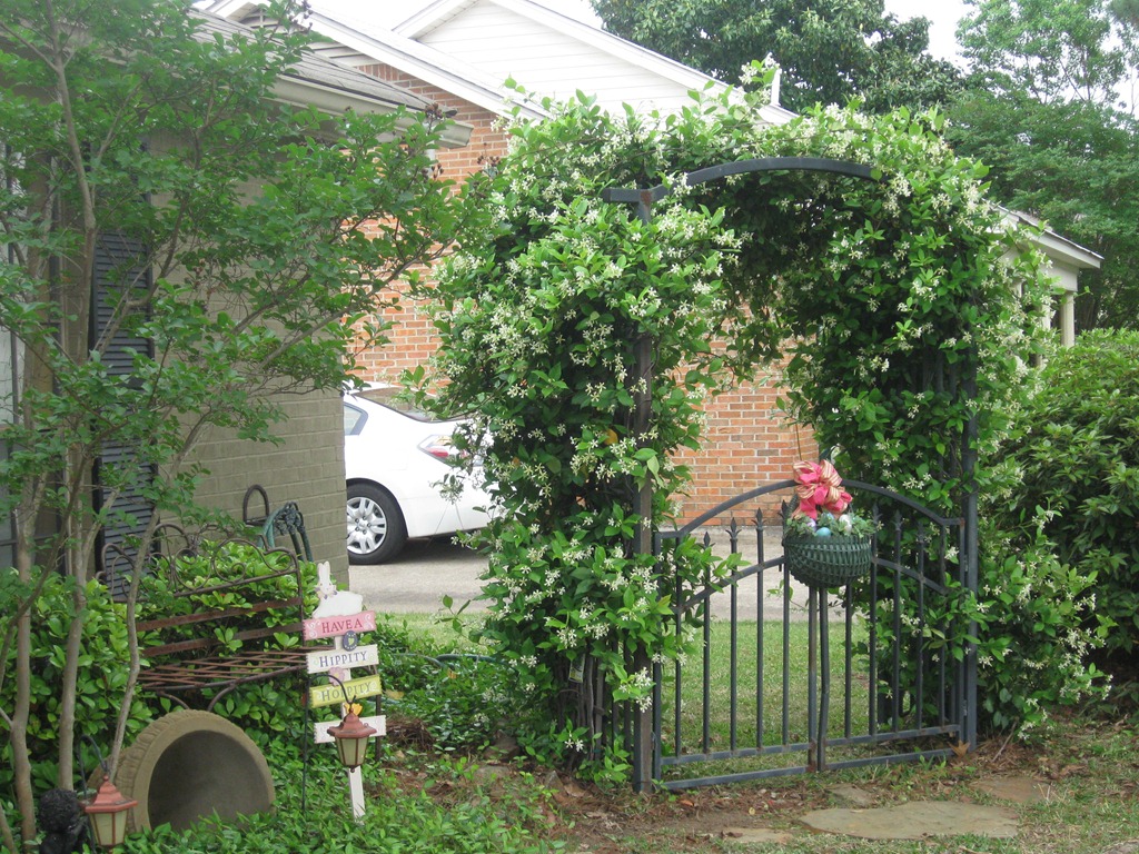 [spring 2011 001[2].jpg]