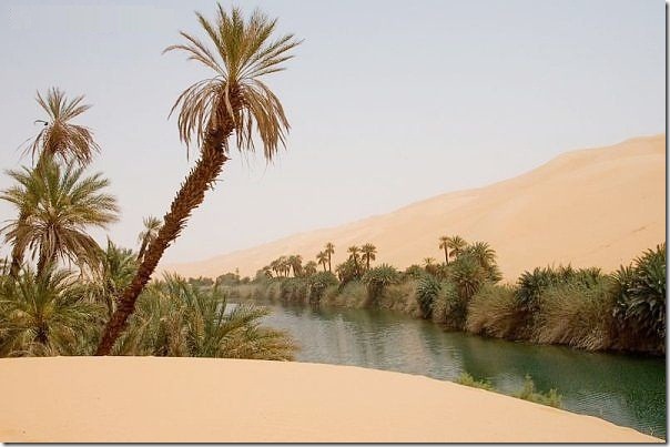 20 most incredible desert oasis5 20 most incredible desert oasis5