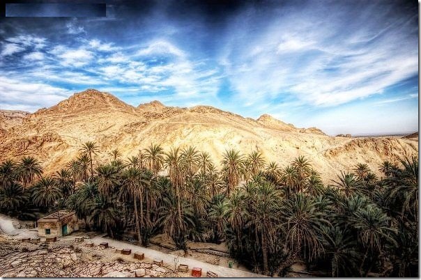 20 most incredible desert oasis15 20 most incredible desert oasis15