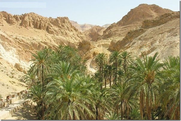 20 most incredible desert oasis16 20 most incredible desert oasis16