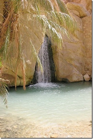 20 most incredible desert oasis17 20 most incredible desert oasis17