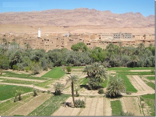 20 most incredible desert oasis22 20 most incredible desert oasis22