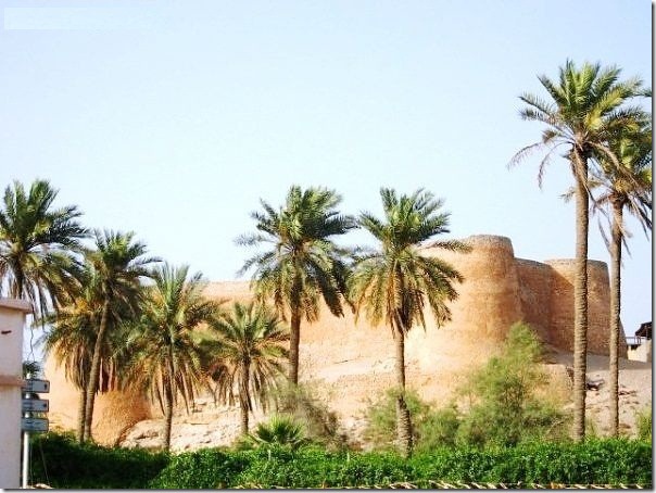 20 most incredible desert oasis25 20 most incredible desert oasis25