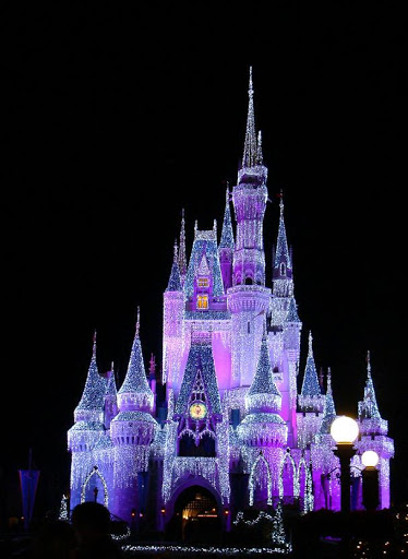 http://lh4.ggpht.com/_kwQNCqCi_5c/SVzK1ajO7KI/AAAAAAAAAh0/9VTtWgWupE4/s512/Disneyland_castleNight.jpg