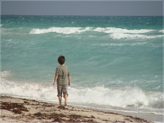 http://lh4.ggpht.com/_kwQNCqCi_5c/SWOS0Vjb-RI/AAAAAAAAAwg/Bz7Wz8-Dkeo/s640/MiamiBeach2.jpg
