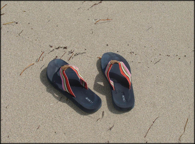 http://lh4.ggpht.com/_kwQNCqCi_5c/SWOX5Z1_5DI/AAAAAAAAAxQ/jg2GRRl0eSI/s640/MiamiBeach6.JPG