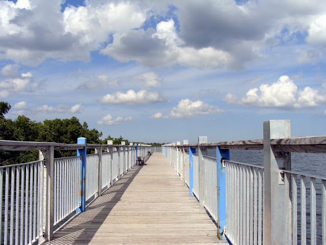 http://lh4.ggpht.com/_kwQNCqCi_5c/SWPQprd2hEI/AAAAAAAAA2A/sUG628F5A4k/s640/Biscayne_SN5.jpg