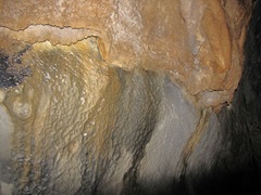 IMG_8337