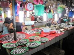 IMG_8534