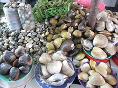 IMG_8535