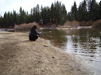 Laura feeding the geese